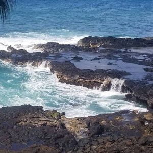 Meet your Posher, Carrie